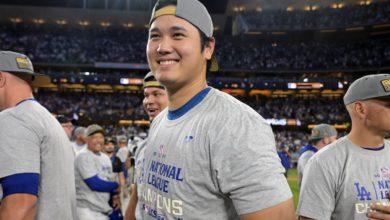 的影响无处 的影响无处