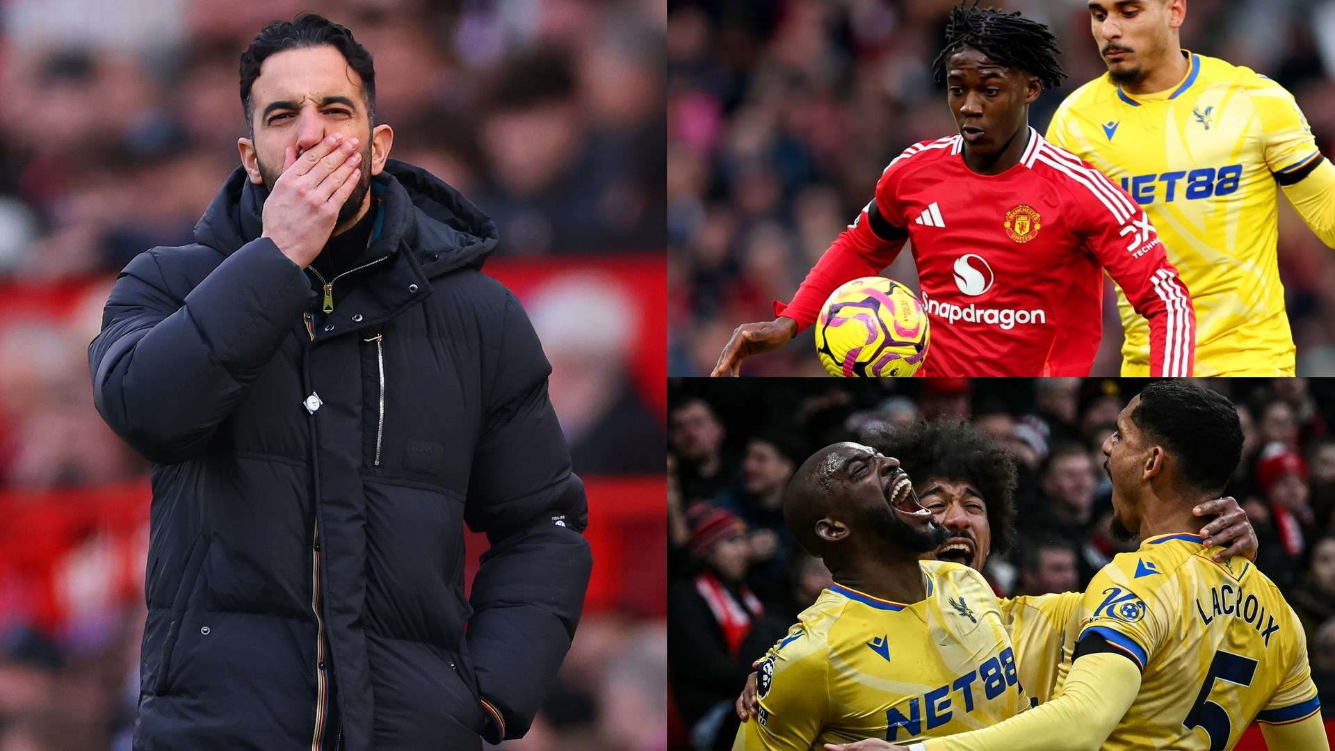 任感的認知 任感的認知