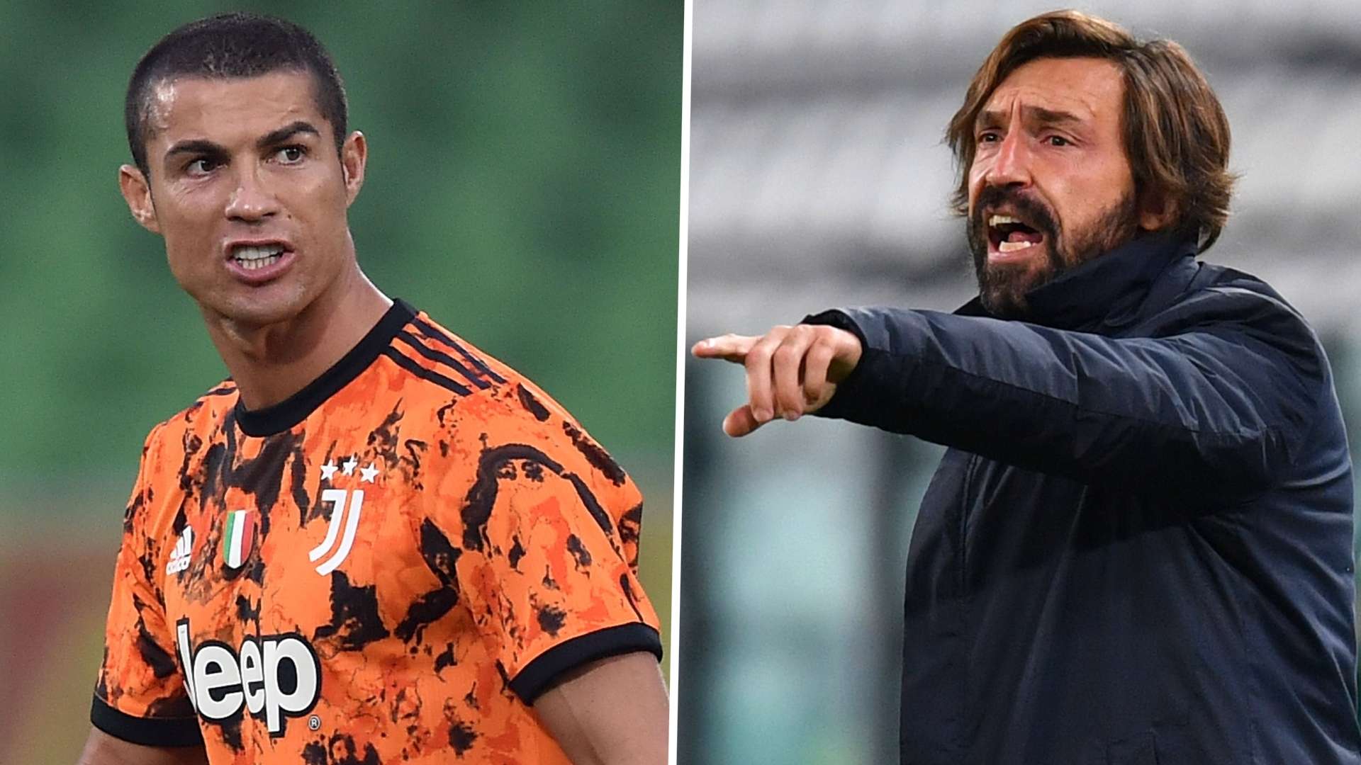 领域的杰出 领域的杰出