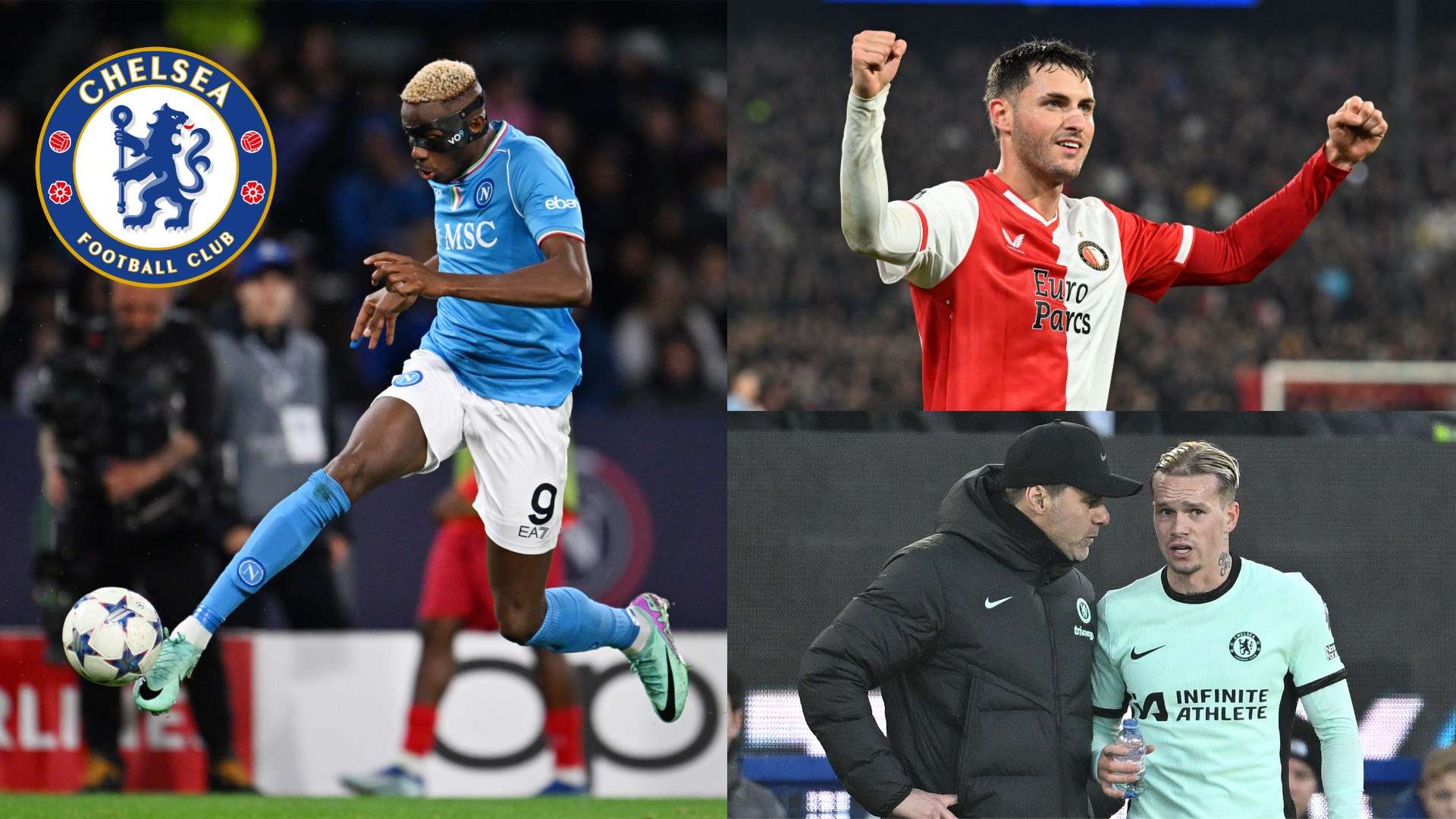 新鲜血液 新鲜血液