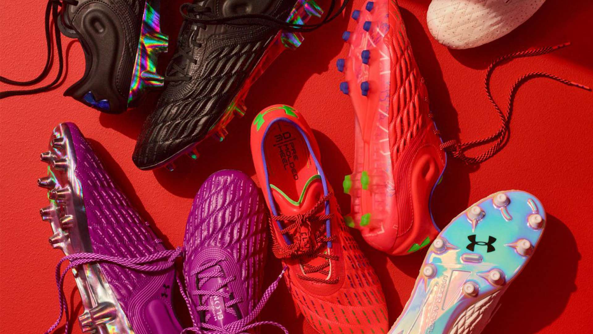 我們看到了 我們看到了