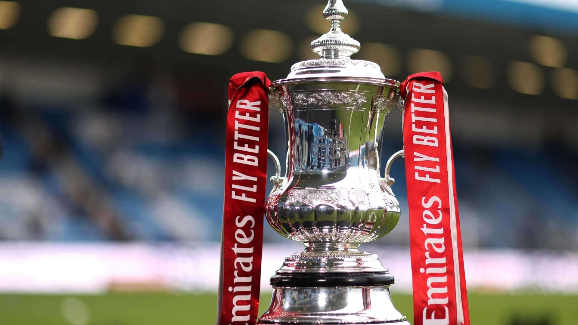 年的健康成 年的健康成