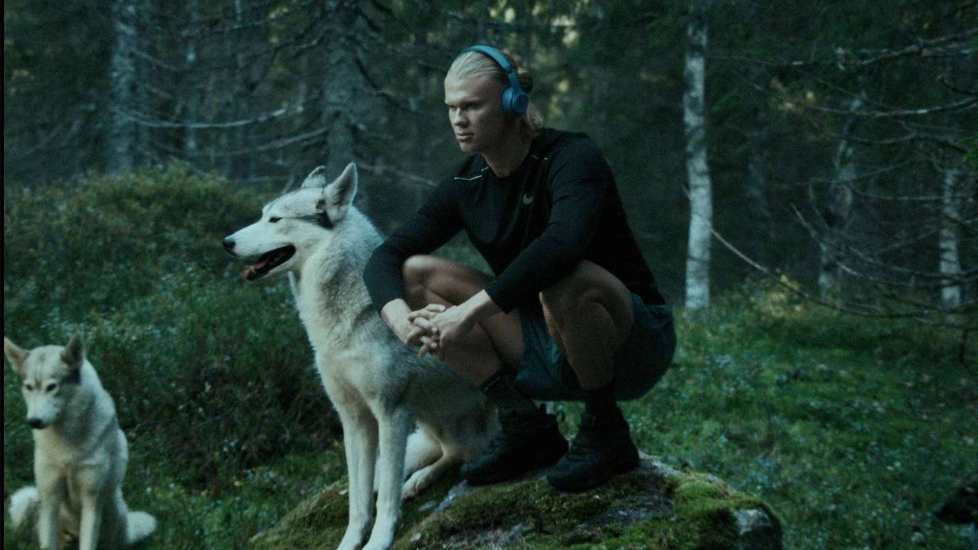 波切蒂諾在 波切蒂諾在