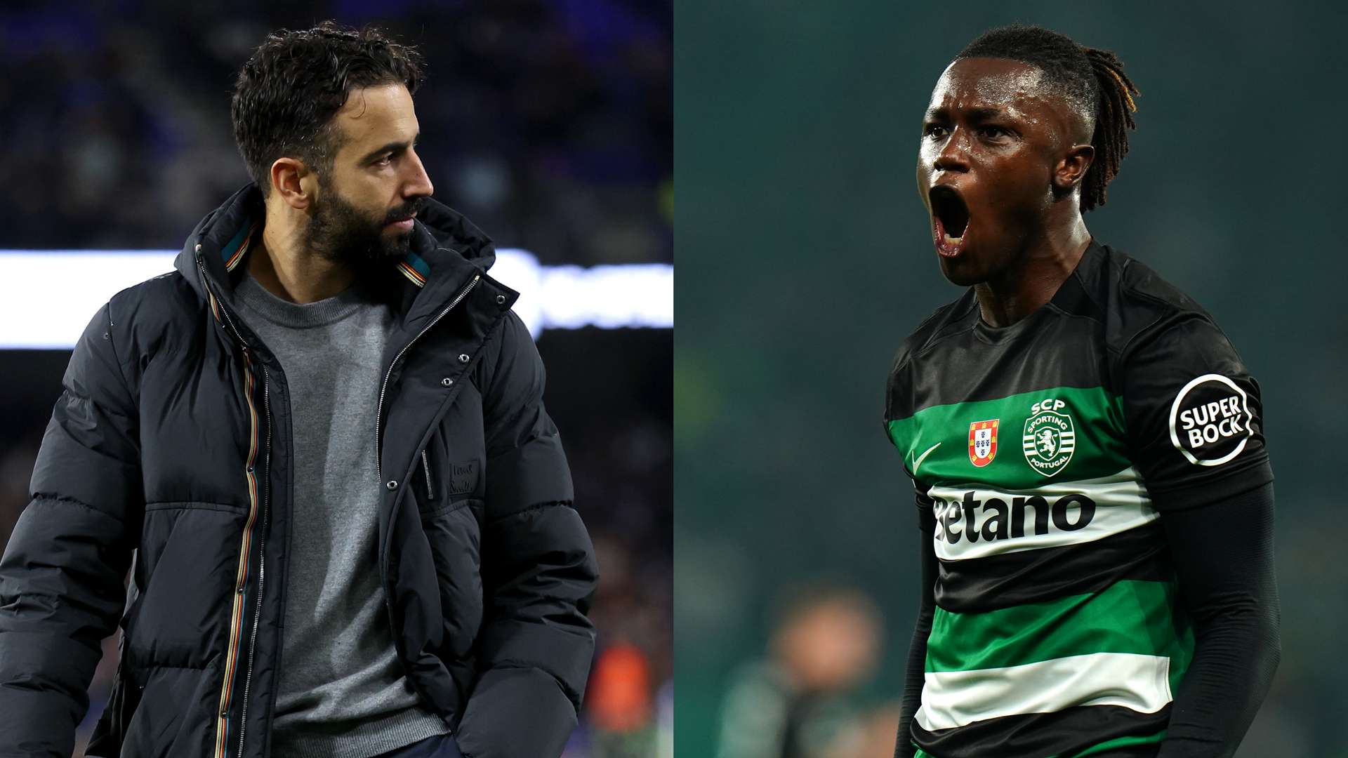 立的情感 立的情感